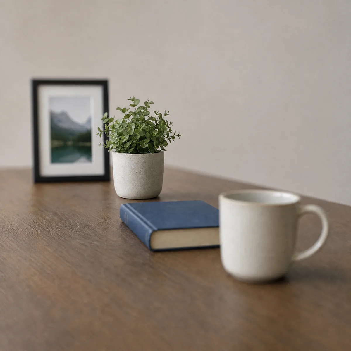 A desk refocused by Radbin on four different objects — Plant