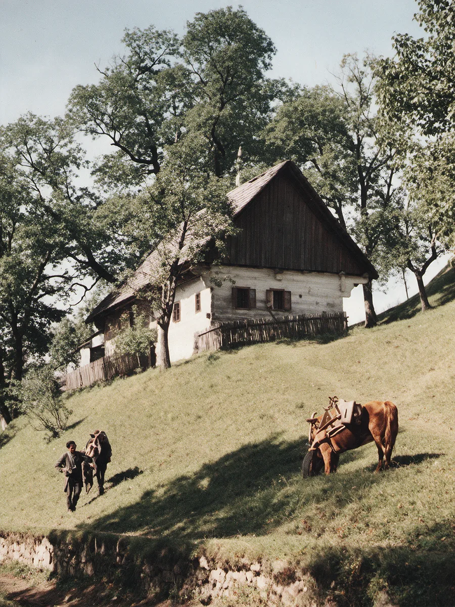 Black and white farmhouse photo colourised by Radbin — after