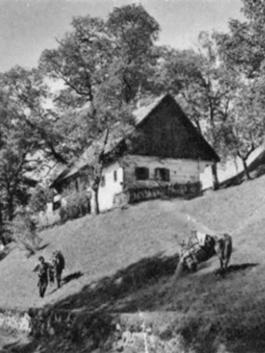 Black and white farmhouse photo colourised by Radbin — before