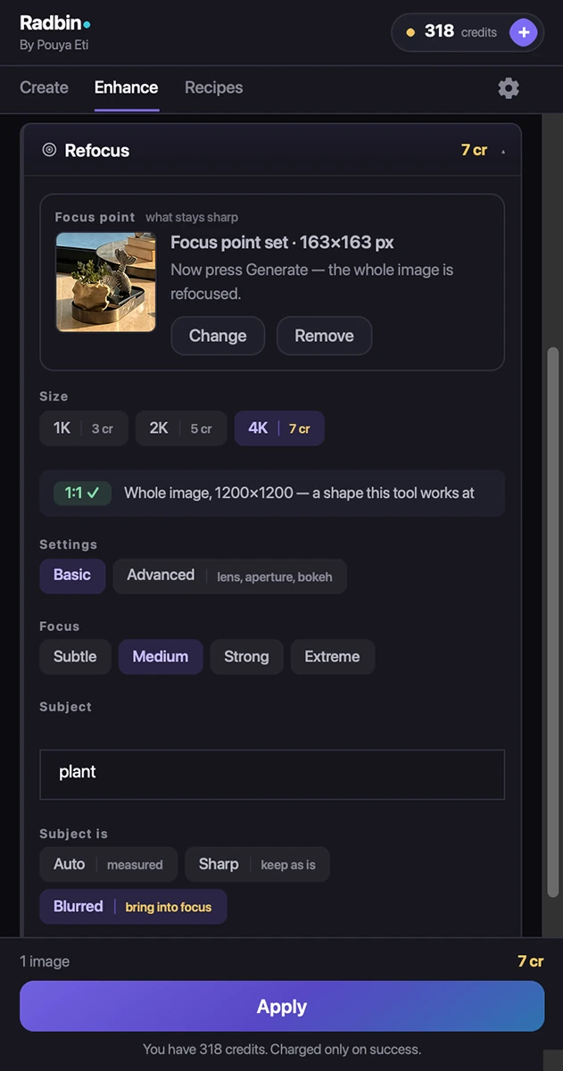 The Refocus tool in the Radbin panel